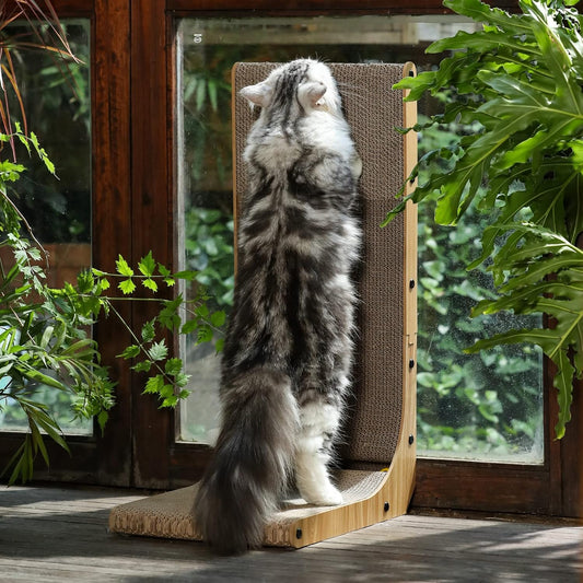 Cat Scratcher
